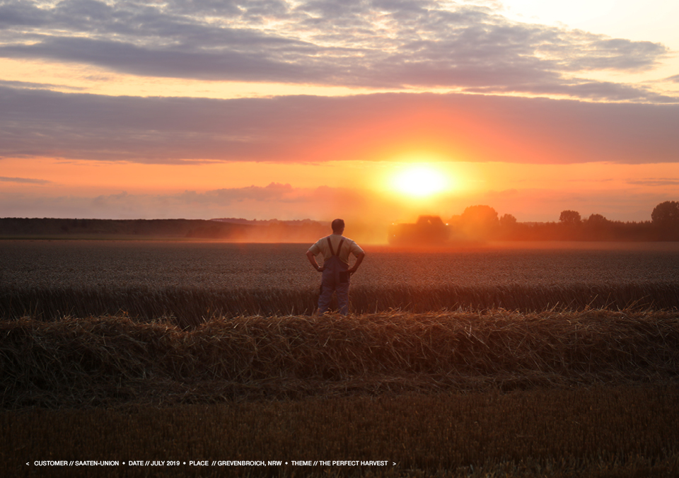 Harvest 11